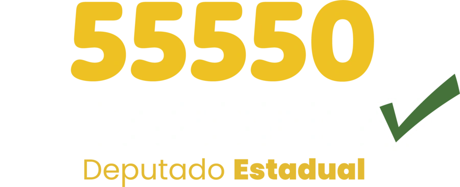 Ricardinho 55550, Deputado Estadual